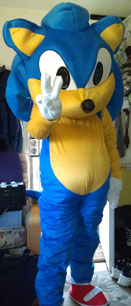 Fake Costume Big Sonic