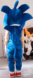 Strange Sonic Costume Back
