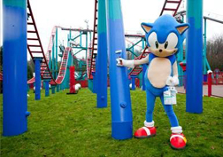 Sonic Spinball Rollercoaster