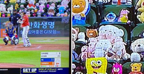 Korea Baseball Audience Amy Plush
