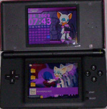 Rouge the Bat DS Skin Program