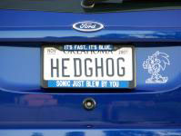 Sonic theme car license plate