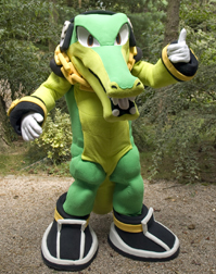 Vector fan suit Pose