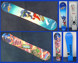 Sonic Riders Theme Snow Boards