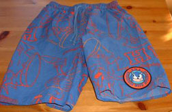 Orange & Blue Sonic the Hedgehog swim trunks