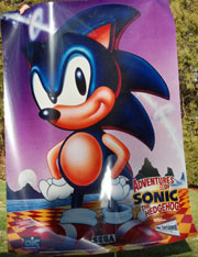 Giant AOSTH 12ft Sonic Show DIC Poster