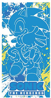 GE Paint Spay Sonic Big Towel