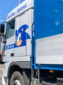 Ukraine Bootleg Sonic Truck