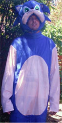 Adult Shabby Sonic Costume