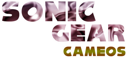 Sonic the Hedgehog Media Cameos Titlecard