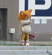 Basket holding Tails mascot