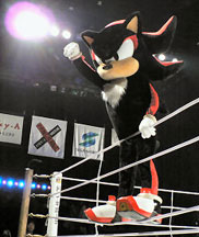 Shadow Wrestling Ring