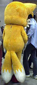 Tails Suit Back
