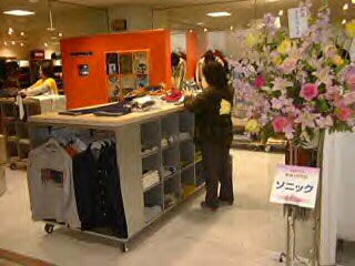 Welcome to your dream store!
