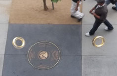 Close up gold rings path markers