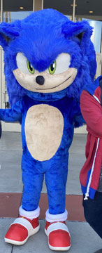Movie Mascot Hairy Dumb Thing