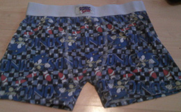 Tiny check Sonic name classic style shorts