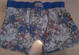 Line art & color modern star Sonic boxers
