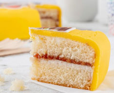 Celebration Sonic Cake Slice