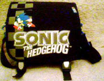 Console Case Flap Bag