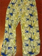 2 Sonic poses PJ Pants