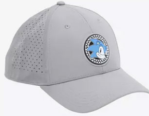 Bio Dry Gray Classic Style Cap