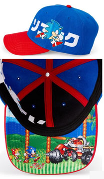 Hidden Scene Embroidered Hat