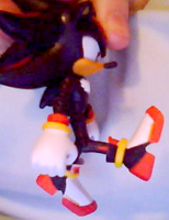 Shadow's bad knee