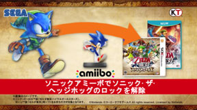 Hyrule Warriors Link Sonic Costume